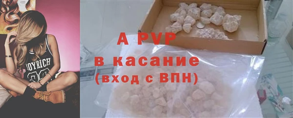 прущие грибы Волосово