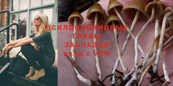 гидра Верея