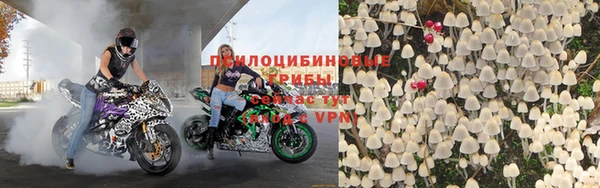 гидра Верея