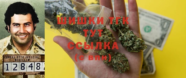 гидра Верея