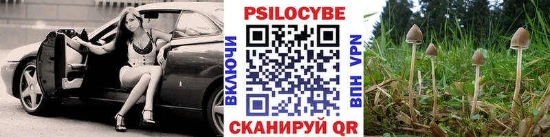 Псилоцибиновые грибы ЛСД  Нальчик 