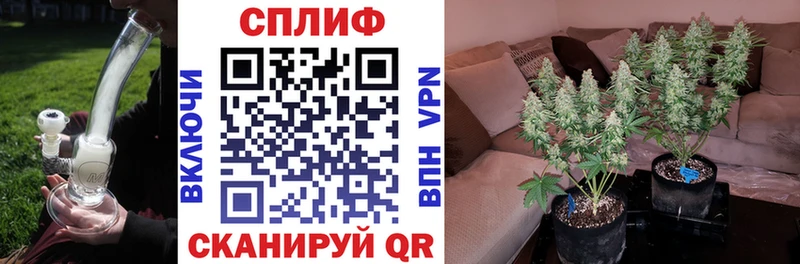 где продают наркотики  Нальчик  Конопля марихуана 